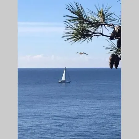 Nuevo Luminoso Catalina A 80 Metros De La Playa 4 Personas Apartment Sant Feliu de Guixols