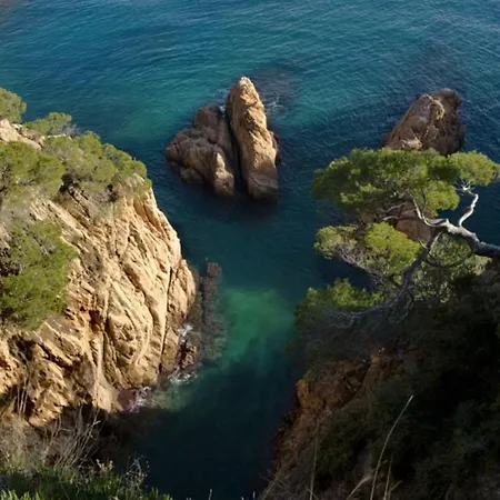 Apartment Nuevo Luminoso Catalina A 80 Metros De La Playa 4 Personas Sant Feliu de Guixols